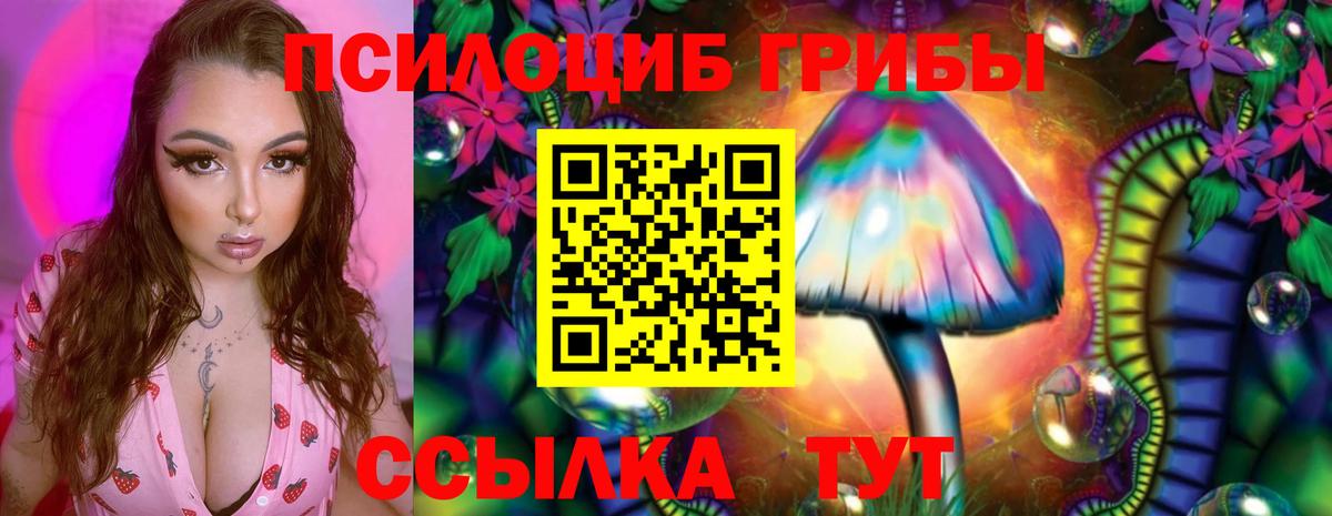 Псилоцибиновые грибы Magic Shrooms Березники